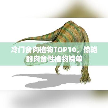 冷门食肉植物TOP10，惊艳的肉食性植物榜单