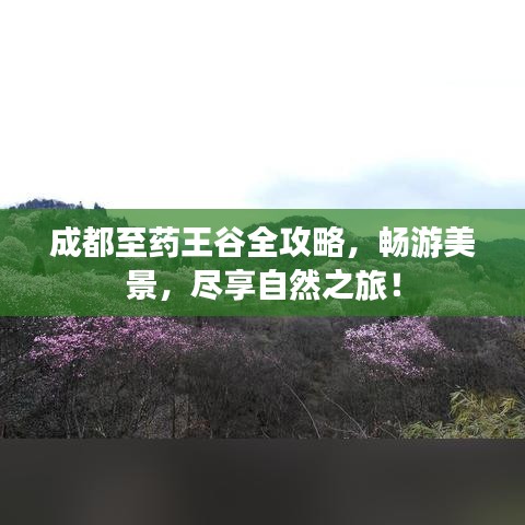 成都至药王谷全攻略,畅游美景,尽享自然之旅!