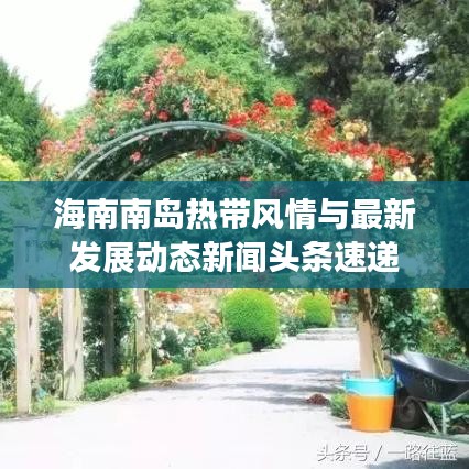 海南南岛热带风情与最新发展动态新闻头条速递