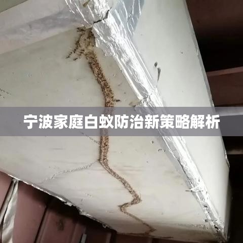 蛾眉曼睩 第3页