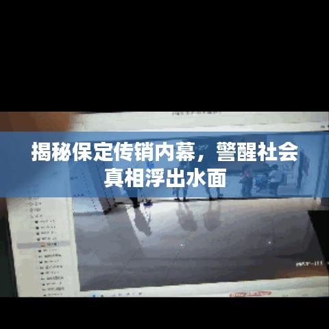 揭秘保定传销内幕,警醒社会真相浮出水面