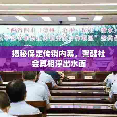 揭秘保定传销内幕,警醒社会真相浮出水面