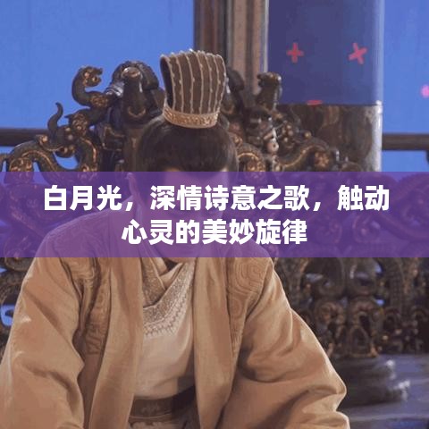 白月光,深情诗意之歌,触动心灵的美妙旋律