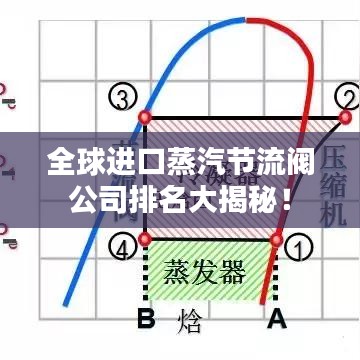 全球进口蒸汽节流阀公司排名大揭秘！