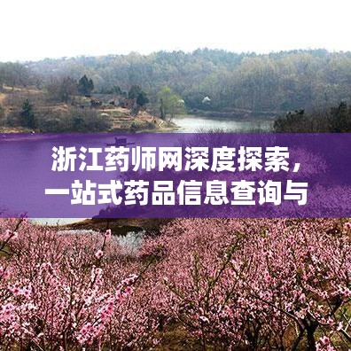 浙江药师网深度探索,一站式药品信息查询与服务体验