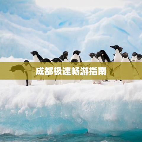 成都极速畅游指南