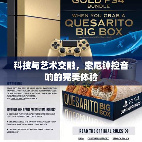 科技与艺术交融,索尼钟控音响的完美体验