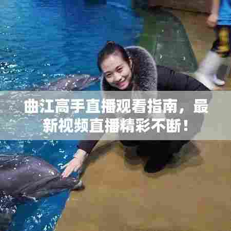 曲江高手直播观看指南,最新视频直播精彩不断!