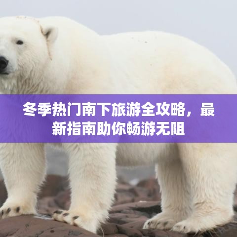 拾金不昧 第4页