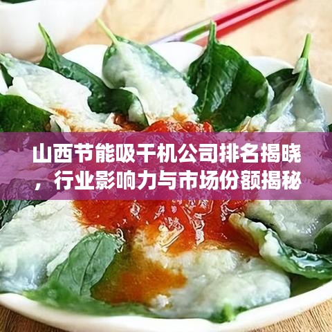 山西节能吸干机公司排名揭晓,行业影响力与市场份额揭秘