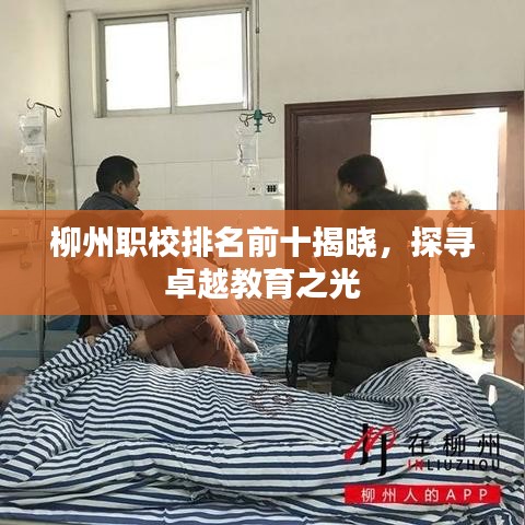 柳州职校排名前十揭晓,探寻卓越教育之光