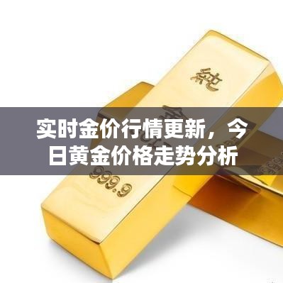 实时金价行情更新,今日黄金价格走势分析