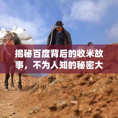 揭秘百度背后的收米故事,不为人知的秘密大揭秘!