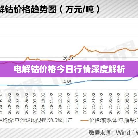 电解钴价格今日行情深度解析