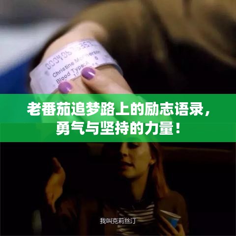 老番茄追梦路上的励志语录,勇气与坚持的力量!