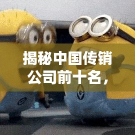 揭秘中国传销公司前十名，警示风险，远离陷阱！