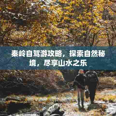 秦岭自驾游攻略,探索自然秘境,尽享山水之乐