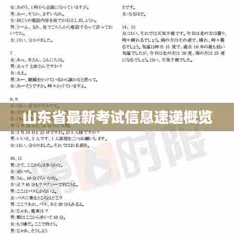 山东省最新考试信息速递概览