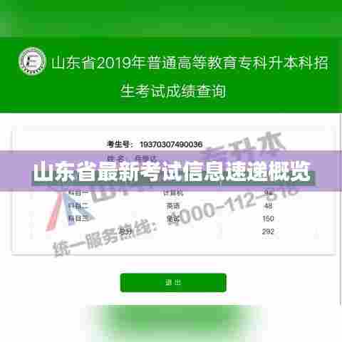 山东省最新考试信息速递概览