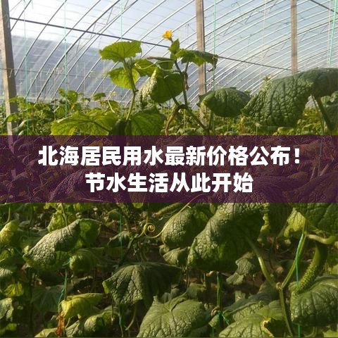 北海居民用水最新价格公布!节水生活从此开始