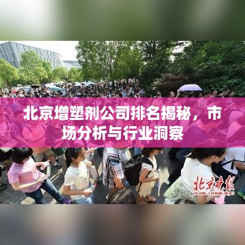 北京增塑剂公司排名揭秘,市场分析与行业洞察