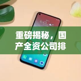 重磅揭秘,国产全资公司排名及影响力深度剖析
