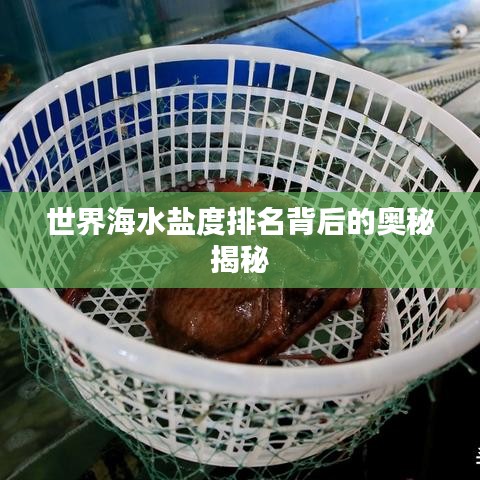世界海水盐度排名背后的奥秘揭秘