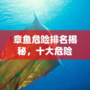 章鱼危险排名揭秘,十大危险品种上榜