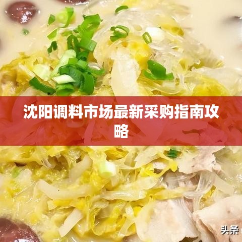 沈阳调料市场最新采购指南攻略