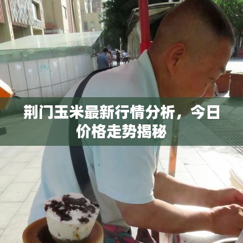 荆门玉米最新行情分析,今日价格走势揭秘