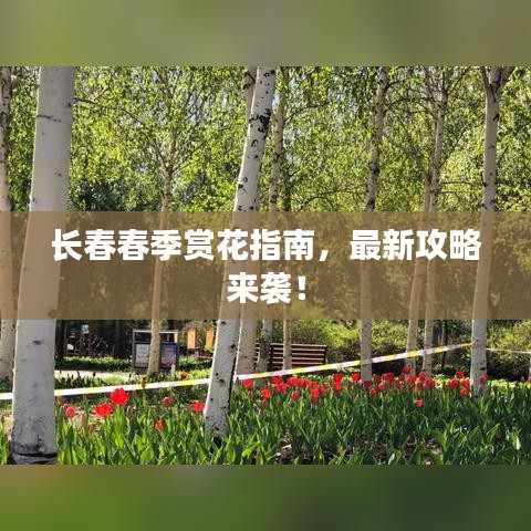 长春春季赏花指南,最新攻略来袭!