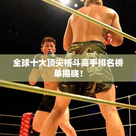 全球十大顶尖格斗高手排名榜单揭晓!