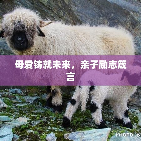 母爱铸就未来,亲子励志箴言