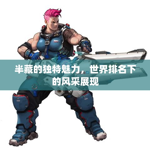 半藏的独特魅力,世界排名下的风采展现