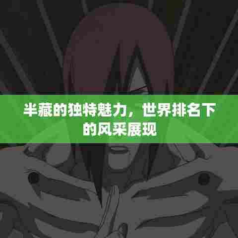 半藏的独特魅力,世界排名下的风采展现
