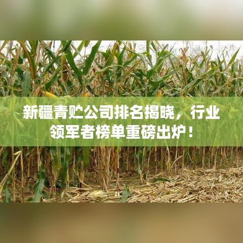 新疆青贮公司排名揭晓,行业领军者榜单重磅出炉!