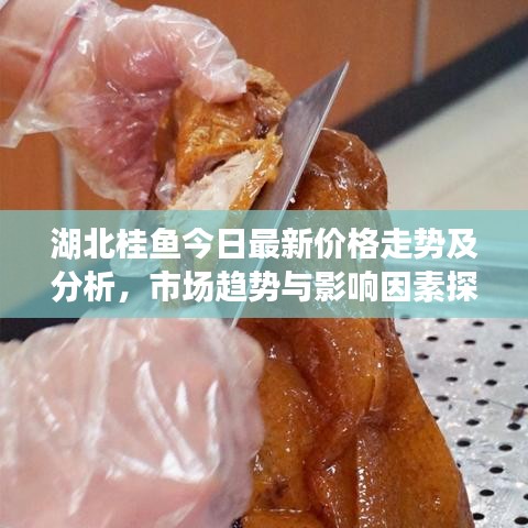 湖北桂鱼今日最新价格走势及分析,市场趋势与影响因素探讨