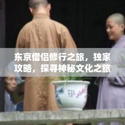 东京僧侣修行之旅,独家攻略,探寻神秘文化之旅