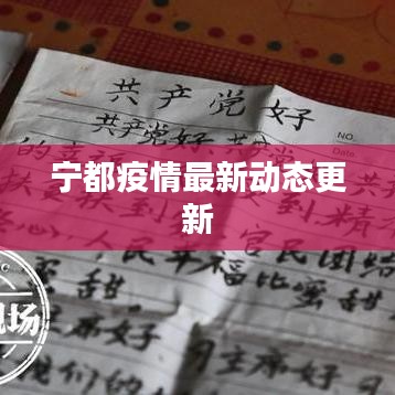 宁都疫情最新动态更新