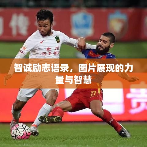 智诚励志语录,图片展现的力量与智慧