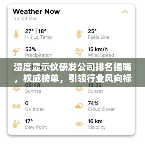 湿度显示仪研发公司排名揭晓,权威榜单,引领行业风向标!