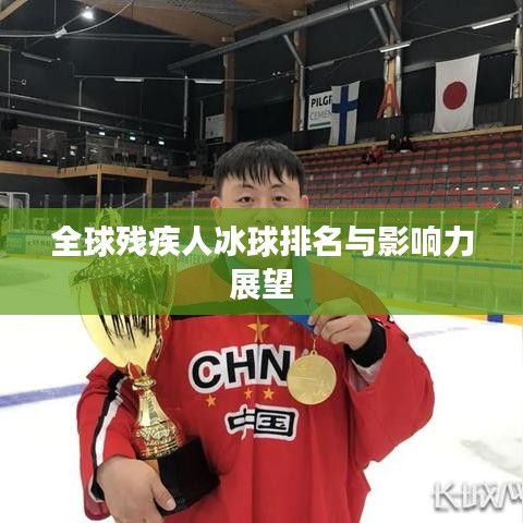 全球残疾人冰球排名与影响力展望