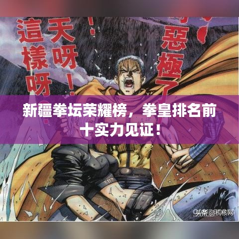 新疆拳坛荣耀榜，拳皇排名前十实力见证！