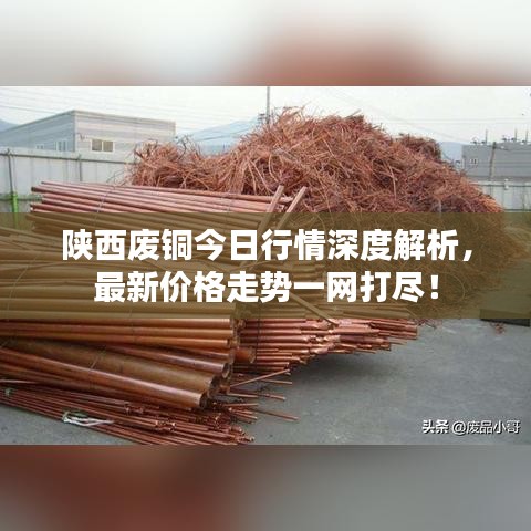 陕西废铜今日行情深度解析，最新价格走势一网打尽！