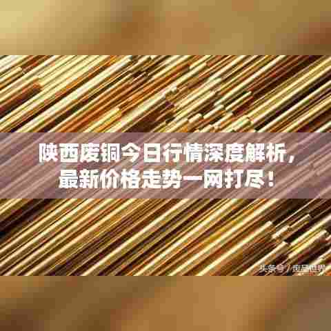 陕西废铜今日行情深度解析,最新价格走势一网打尽!