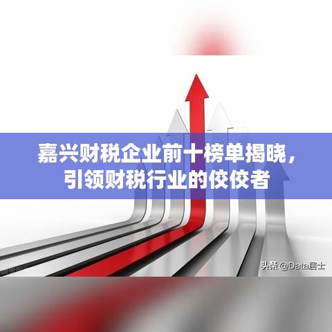 嘉兴财税企业前十榜单揭晓，引领财税行业的佼佼者