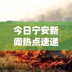 今日宁安新闻热点速递