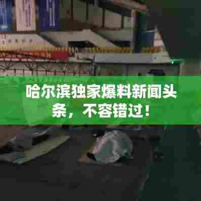 哈尔滨独家爆料新闻头条,不容错过!