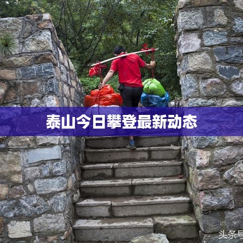 泰山今日攀登最新动态