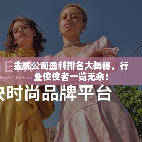 金融公司盈利排名大揭秘,行业佼佼者一览无余!